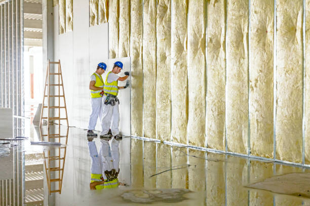 Best Insulation Installation Services in Lynchburg, OH